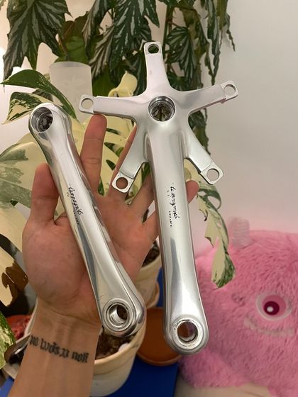 Campagnolo Система/шатуны bcd135